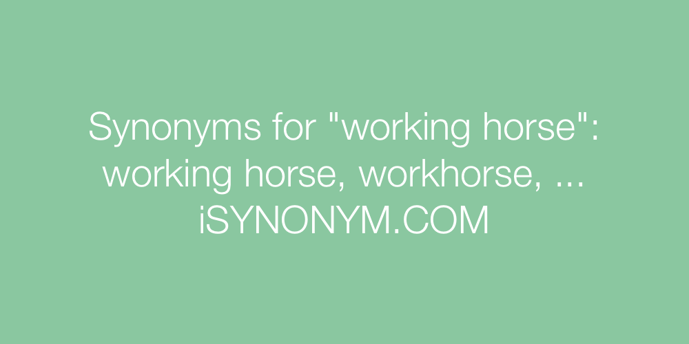 Synonyms working horse