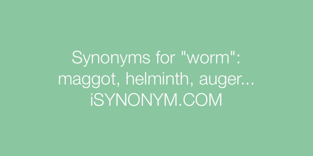 Synonyms worm