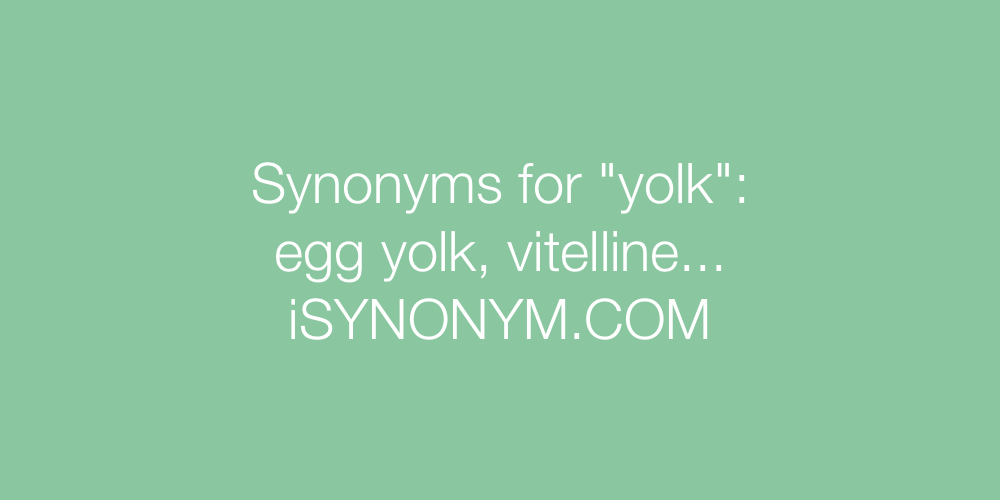 Synonyms yolk