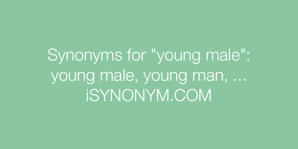 Synonyms young male